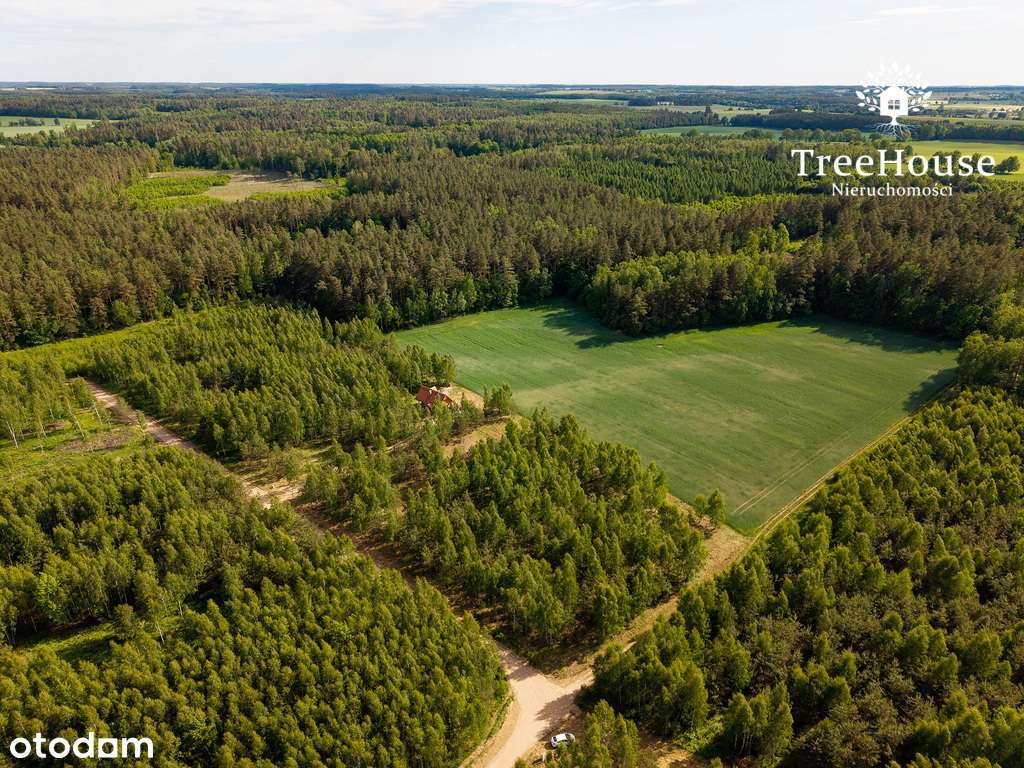 Mazury gotowy projekt las jezioro siedlisko-14