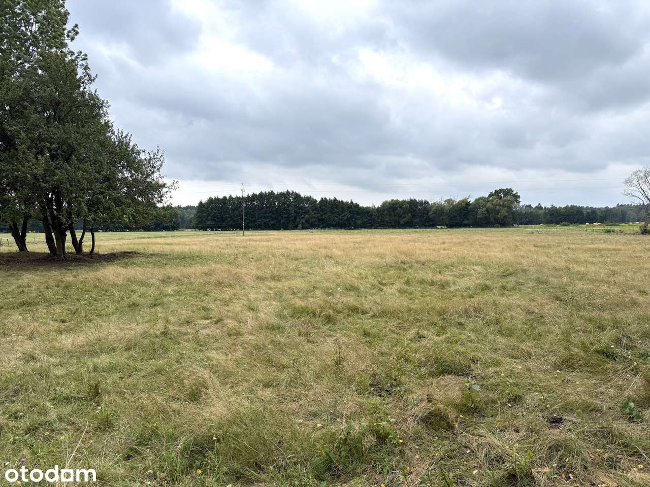 Działki budowlane 11,3 ar – Suliradzice, gmina Krośnice | MPZP MN-12