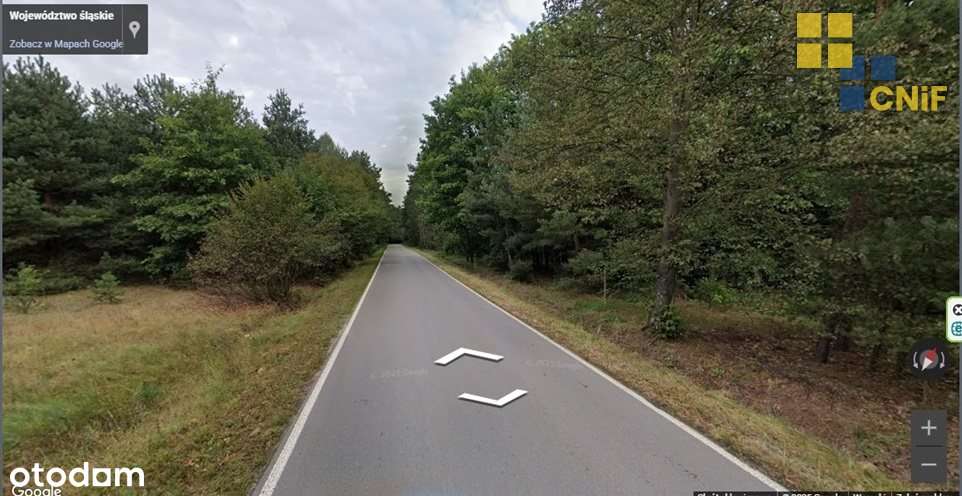 Skrajnica - zalesiony teren budowlano-rolny - Pełny obrazek: 5/5