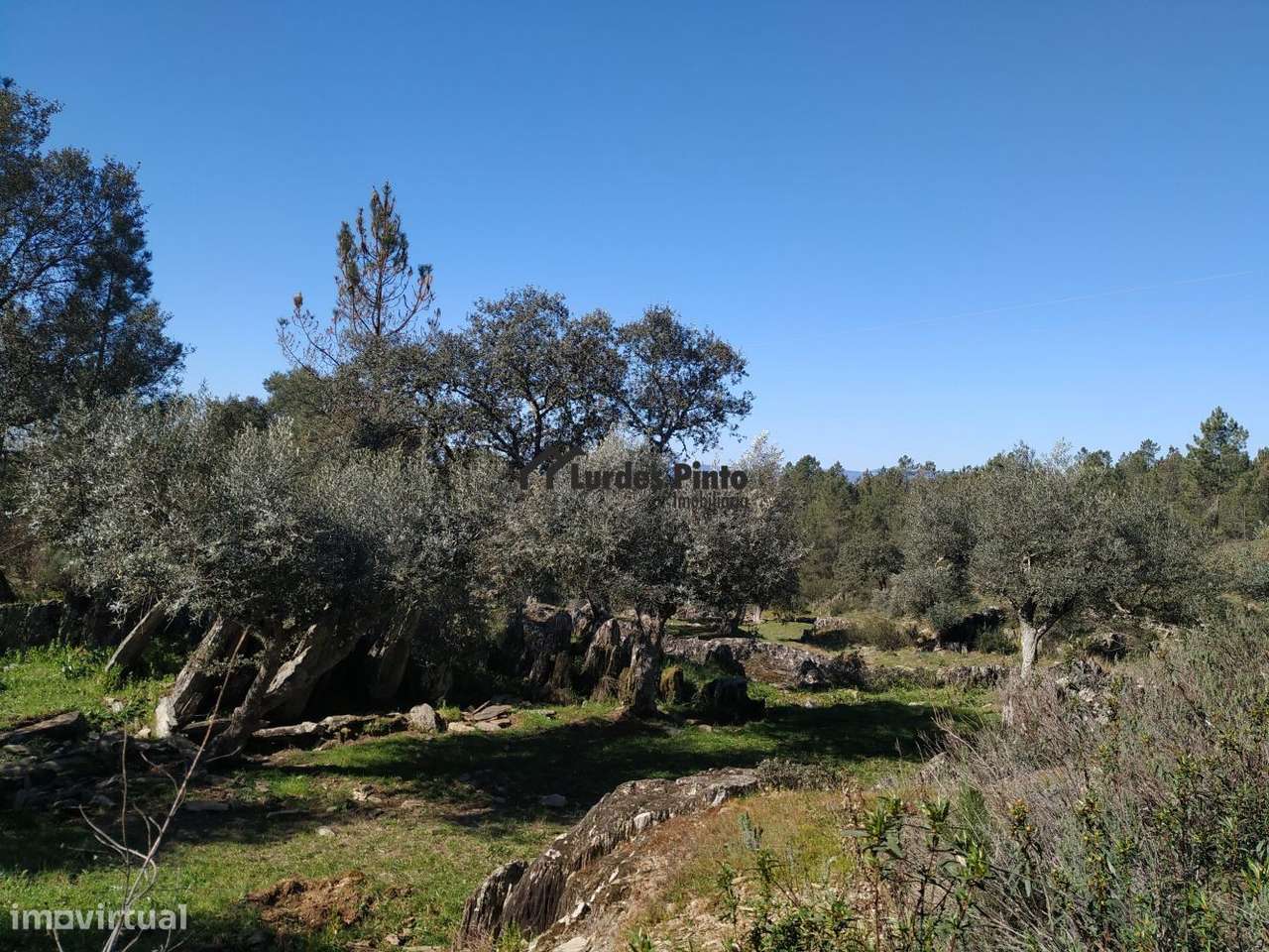 Terreno em Benquerenças-10