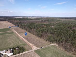 Działki przy lesie, Ostrowo (k. Przyjezierza)