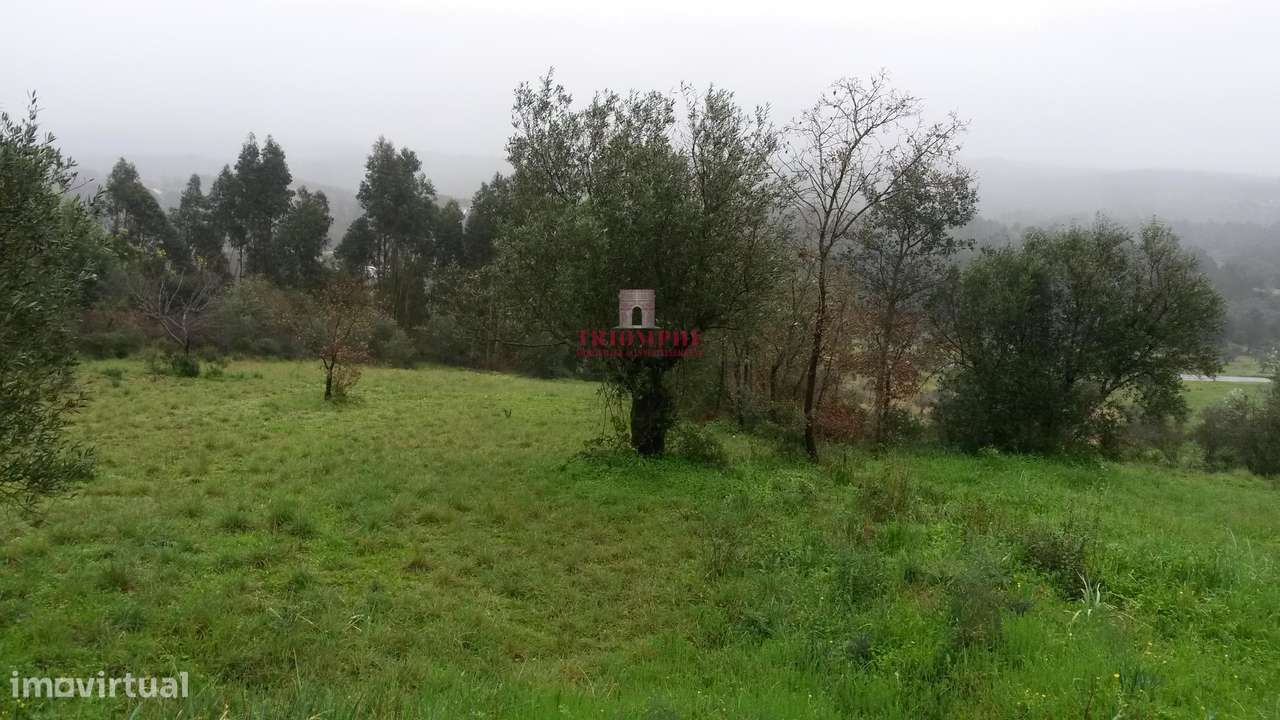 Terreno Urbanizável c/ Projeto Aprovado,1.900m2, Ourém - Grande imagem: 4/10