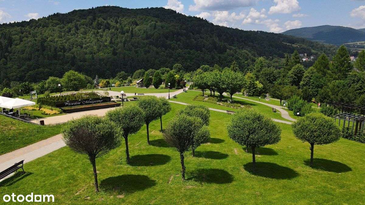 Muszyna pięknie położony pensjonat z 1930 roku - Pełny obrazek: 5/20