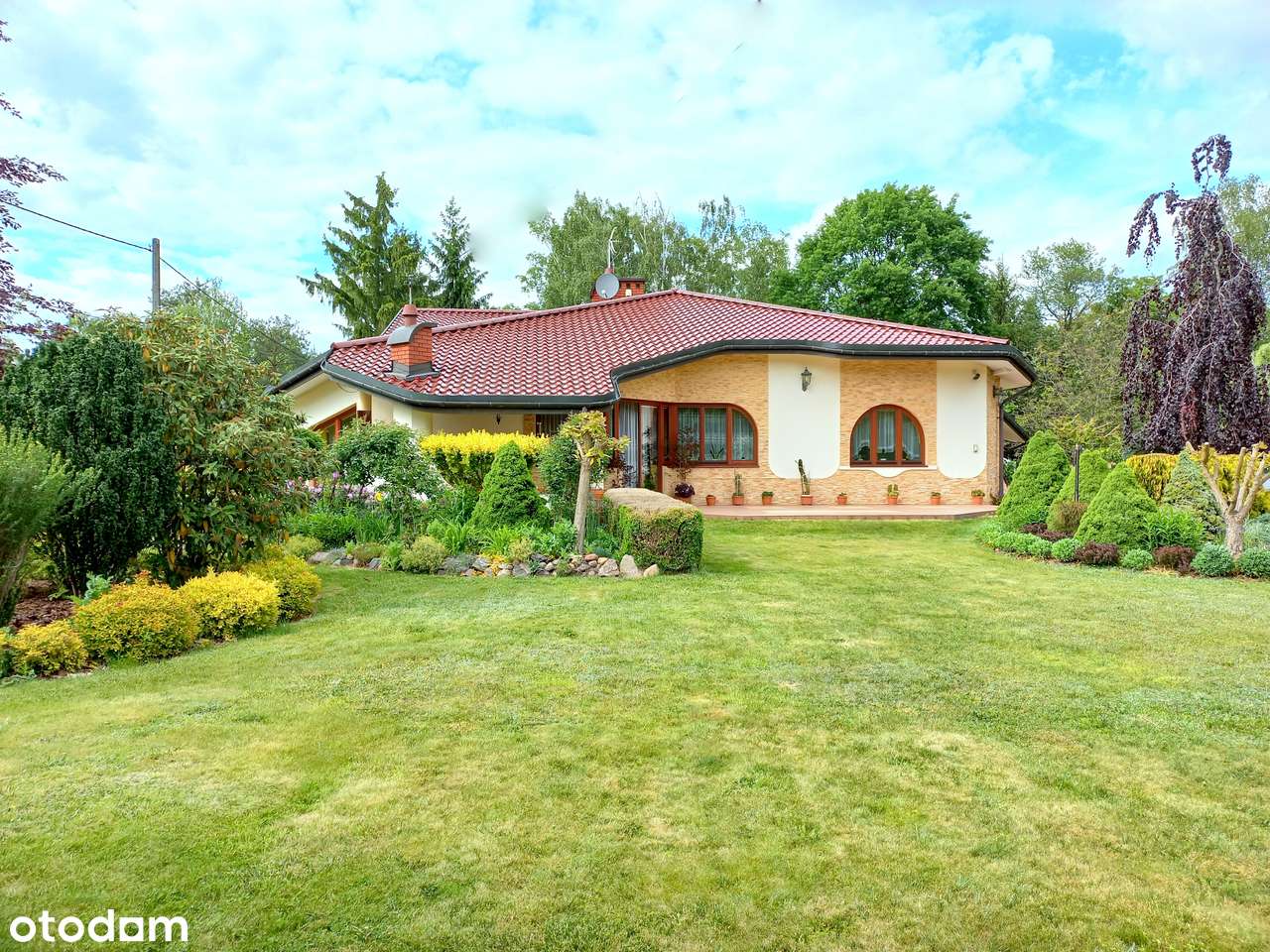 Rezydencja w Milanówku z pięknym ogrodem - Pełny obrazek: 5/13