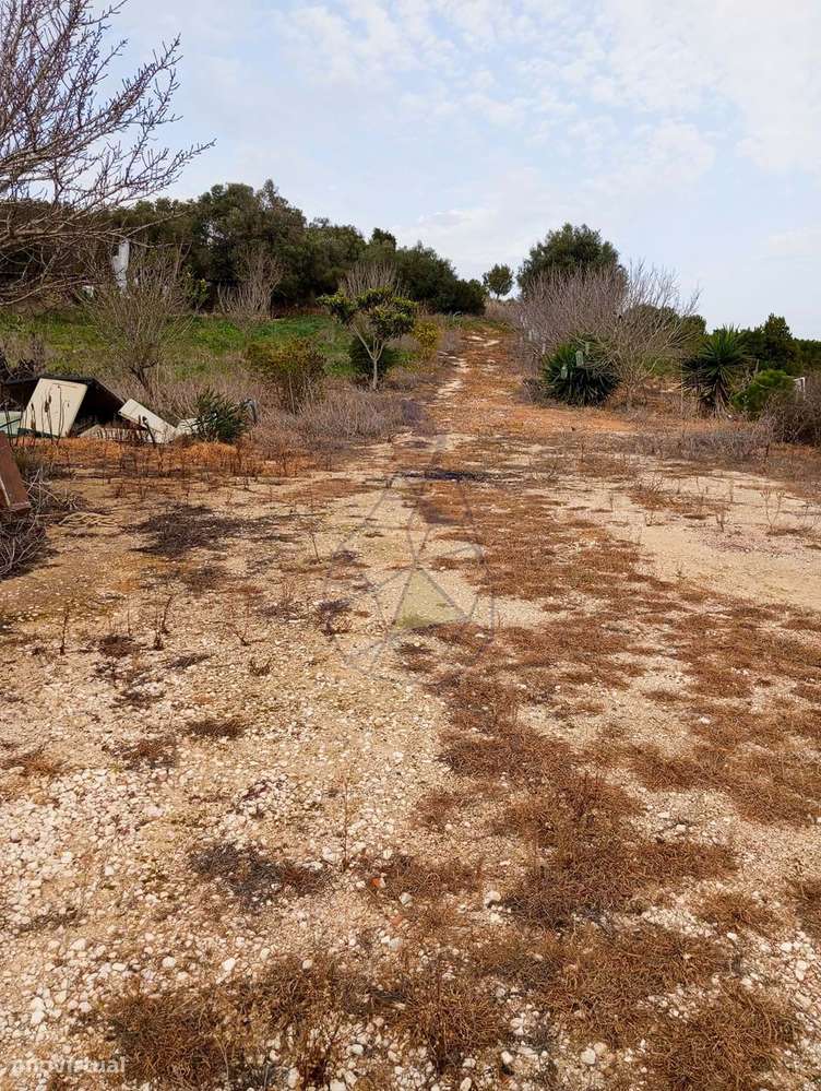 Quinta negociável com comercio, terreno rústico 65500 m2, com MobileHo - Grande imagem: 5/19