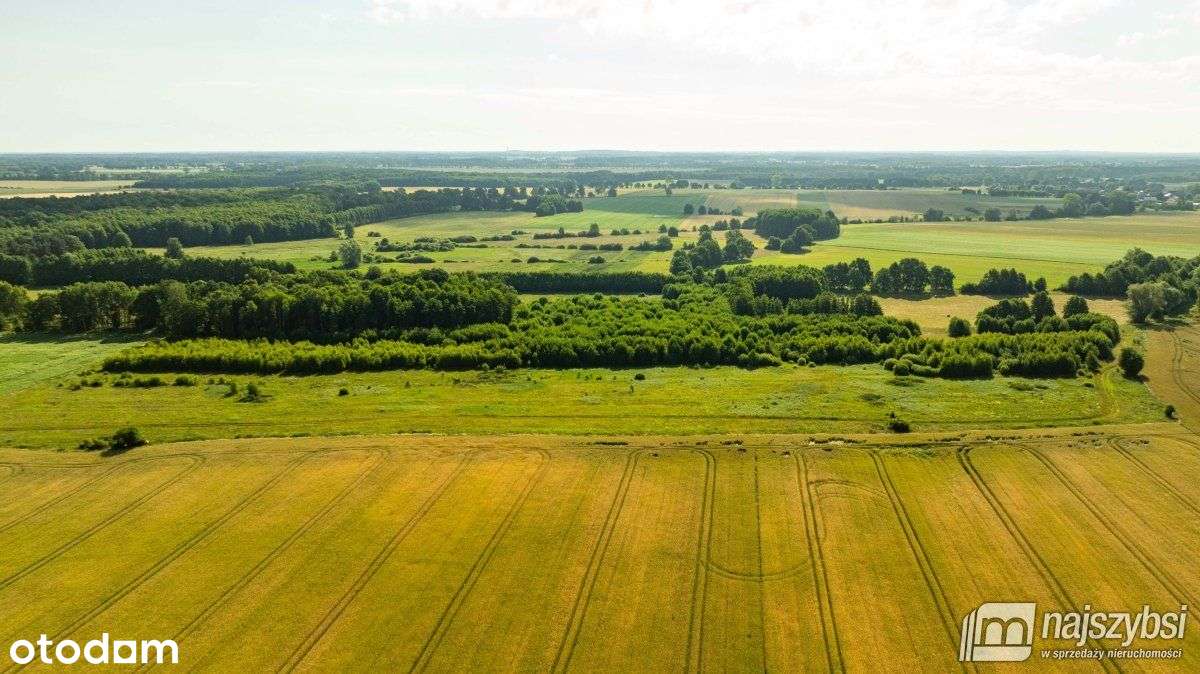 Bagna-działka rolna pod Maszewem - Pełny obrazek: 4/10