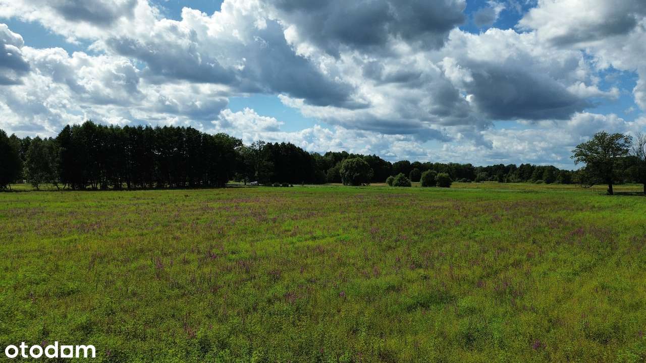 Działka rolna 1,82 ha - Piaski, gmina Świdnica, lubuskie. - Pełny obrazek: 4/9