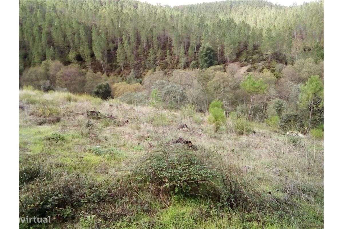 Quinta T0 para venda - Grande imagem: 3/9