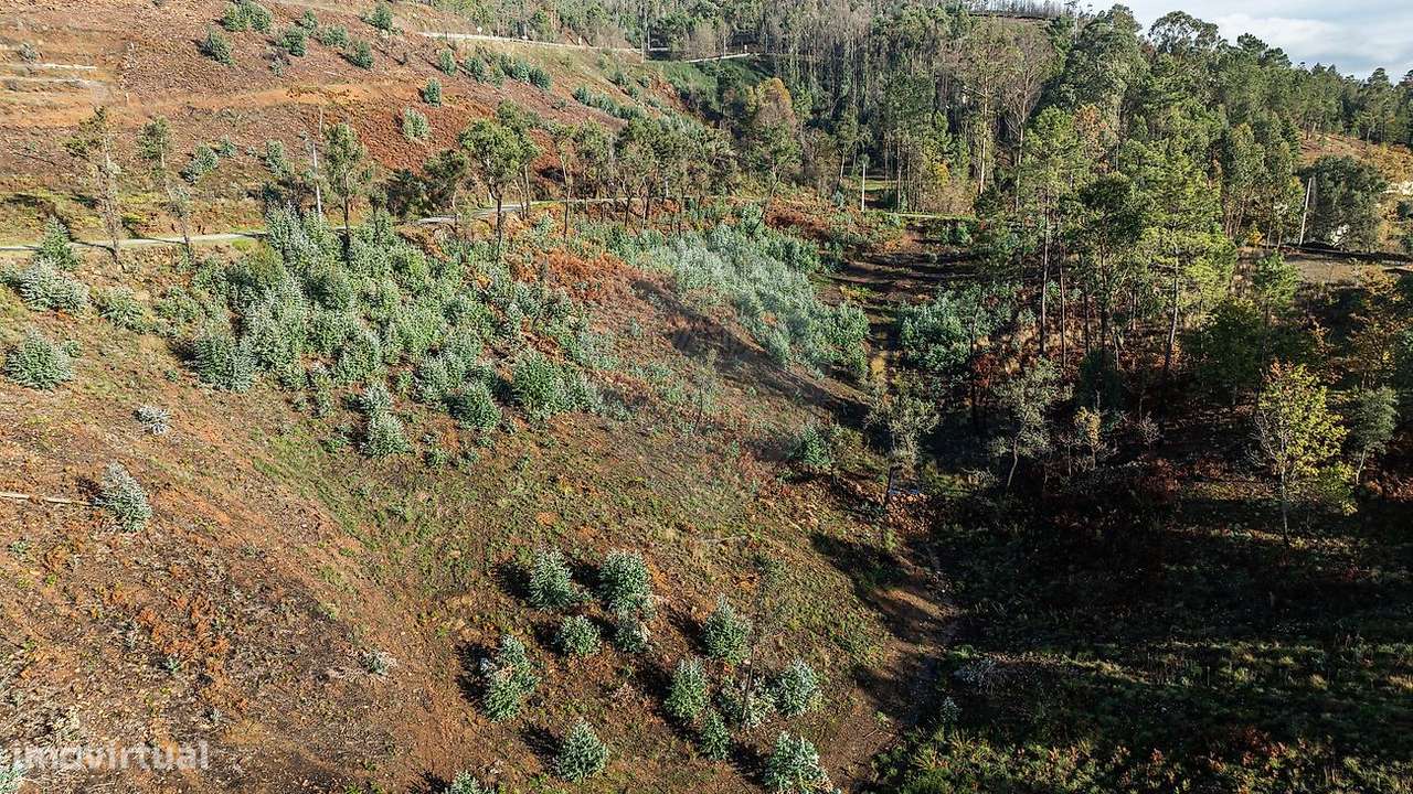 Terreno  para venda - Grande imagem: 4/12