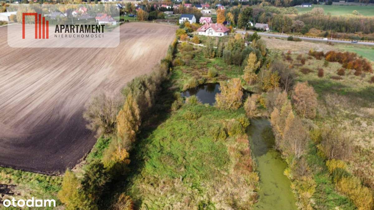 Duży dom z potencjałem na motel,2 ha działki, staw - Pełny obrazek: 5/10