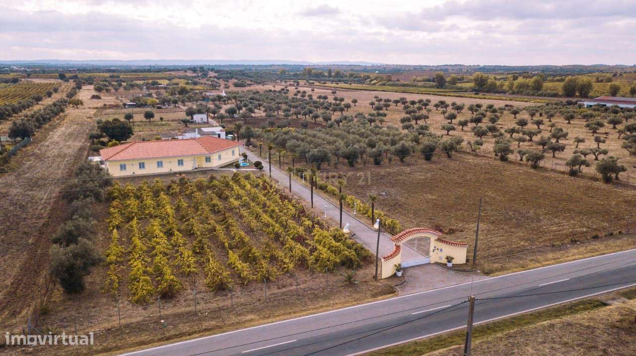 Moradia T4 com piscina, vinha e olival em Reguengos de Monsaraz-1