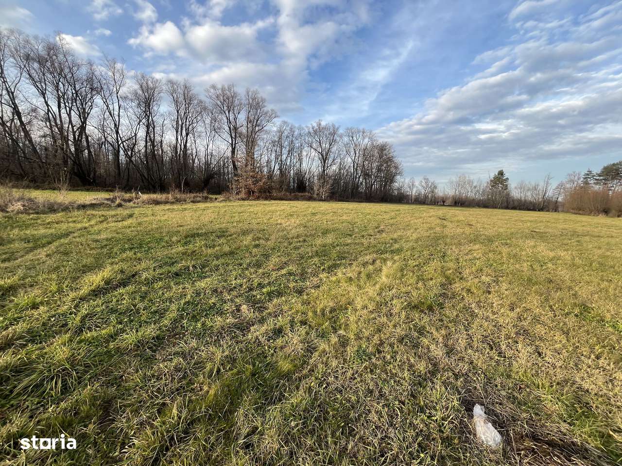 TEREN INTRAVILAN GENEROS | 72 ARI | GALANESTI - Imagine principală: 4/11