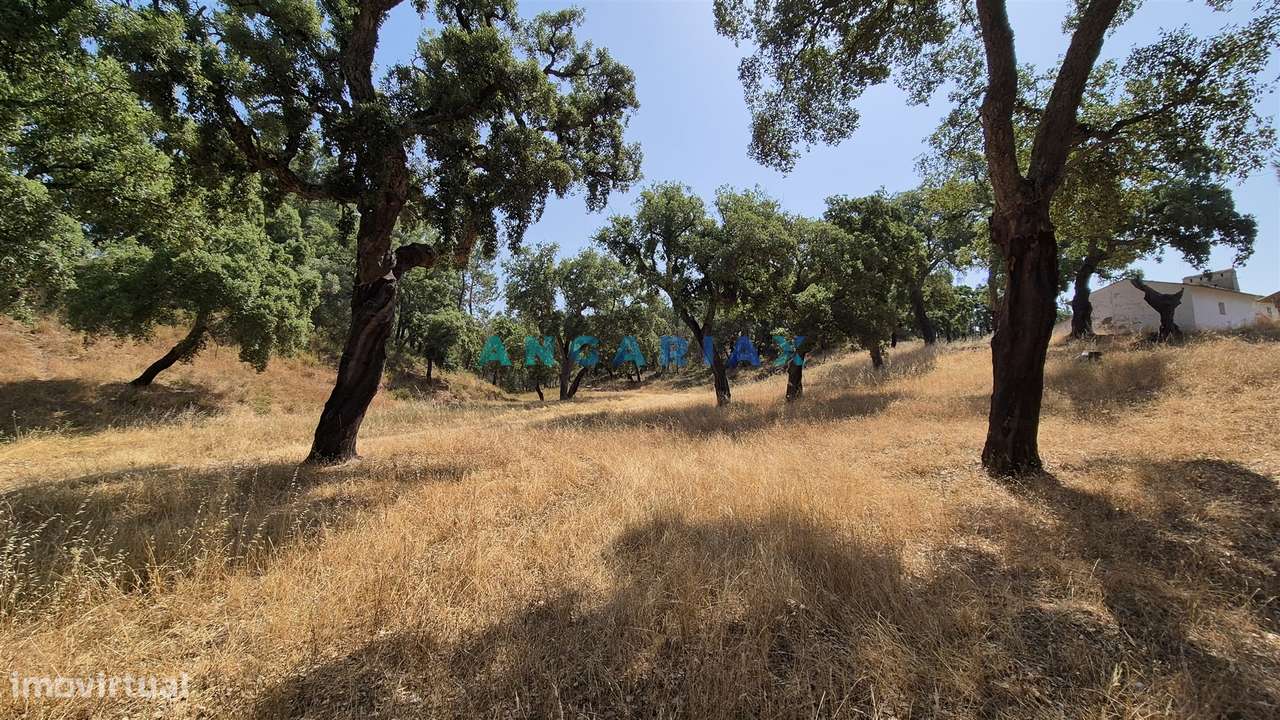 ANG1558 - Terreno para Venda em Bemposta, Abrantes - Grande imagem: 5/16