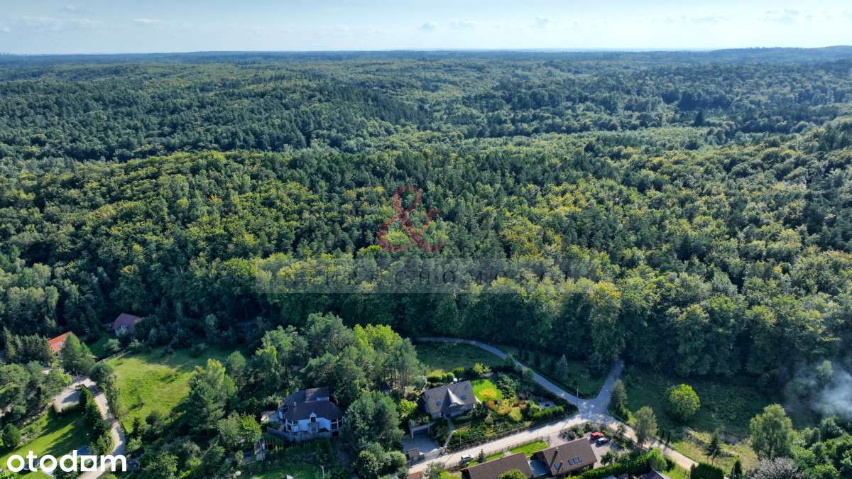 Gdynia Polana Bernadowo działka! - Pełny obrazek: 5/15