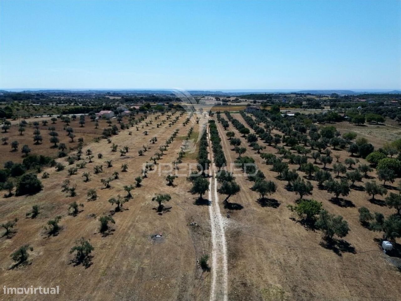 Quinta rural com olival, com uma área de 42,480m2 Vaqueiros, Santarém - Grande imagem: 1/34