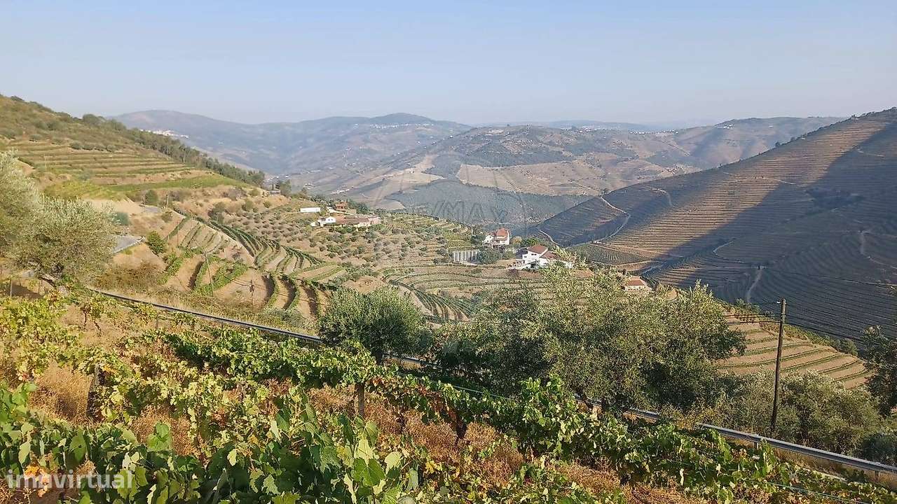 Quinta  para venda-1