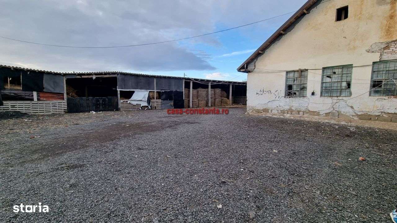 Topraisar - Fermă Animale - Teren 2173 mp, Construcții 304 mp-5