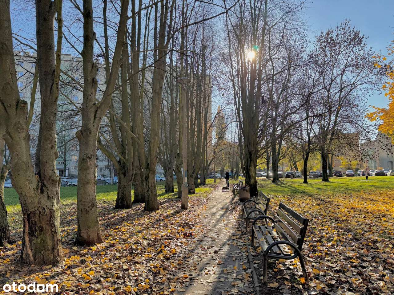 Bezpośrednio / 3 pokoje/ 45m / balkon / winda / pełne AGD / słoneczne-15