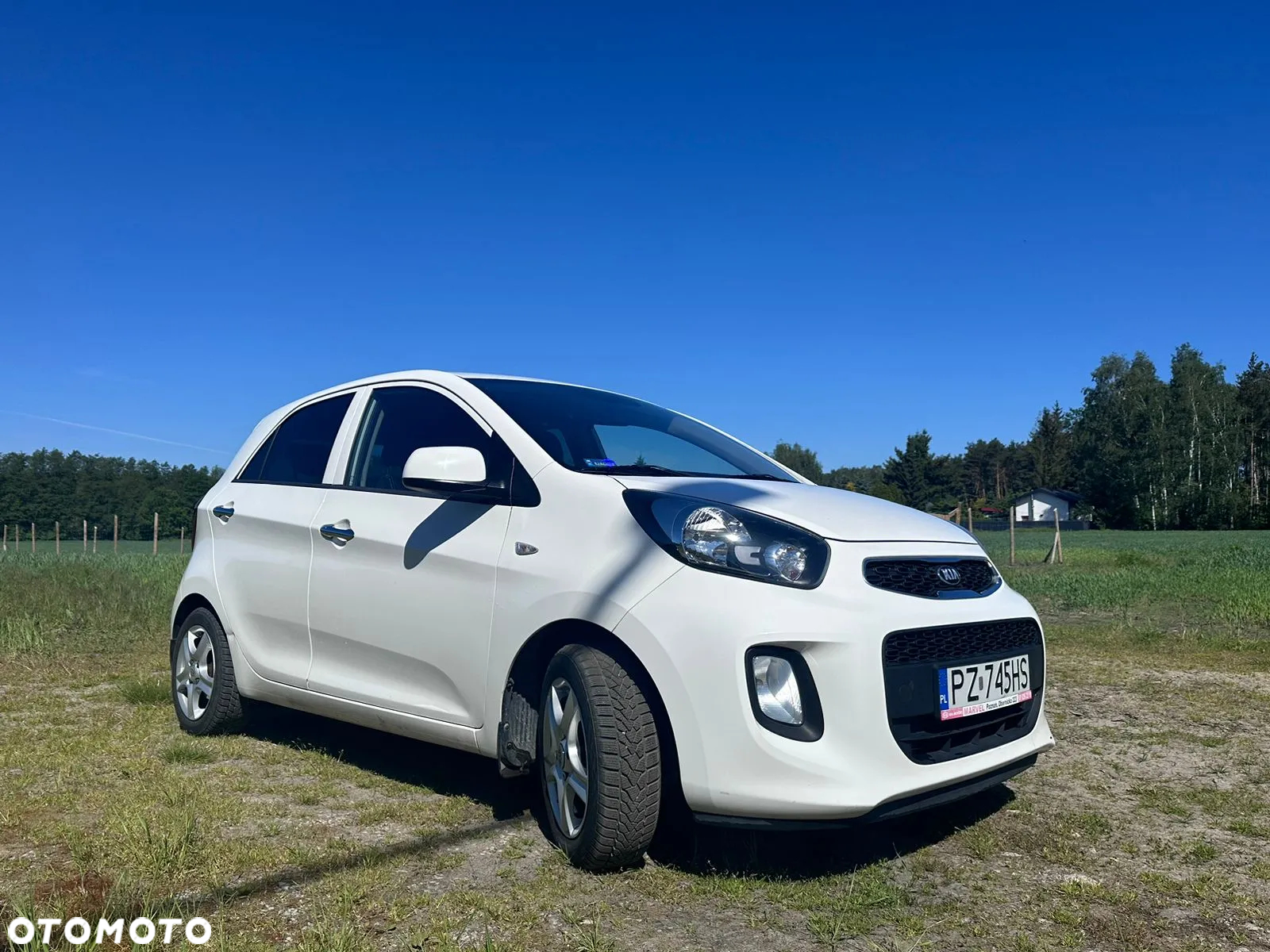 Kia Picanto 1.2 Business Line Plus - 2