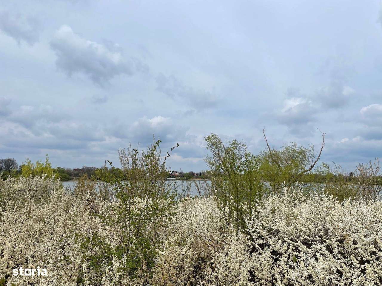 Teren Excepțional cu Deschidere la Lac – Samurcași, Buftea - Imagine principală: 1/7