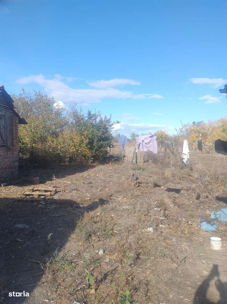 Casă de vânzare în Cenad – aproape de ieșirea spre Ungaria- 739-4