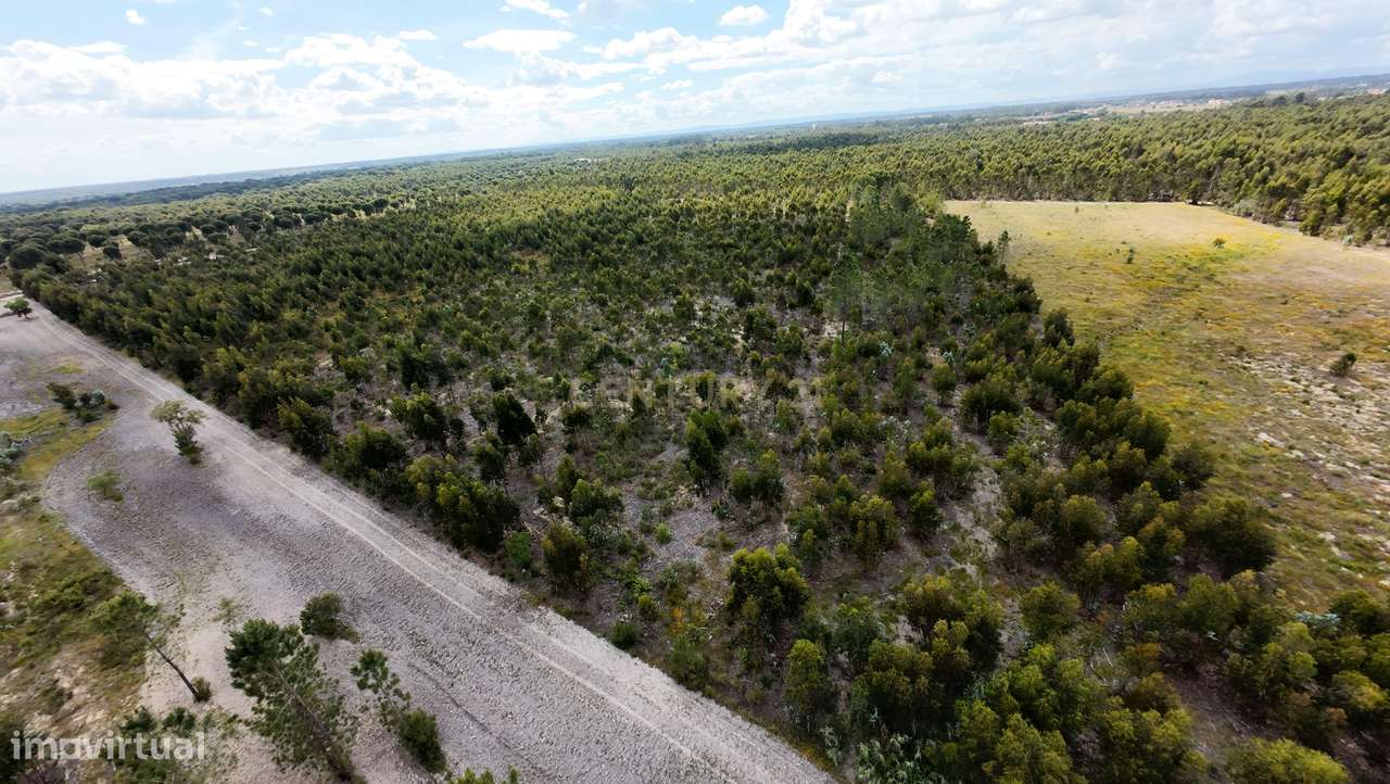 Magnifica Herdade Turística   em Santo Estêvão, Benavente-17