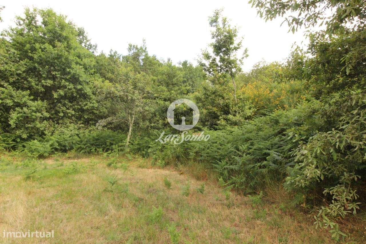 Terreno Agrícola em Borba da Montanha -Celorico de Basto - Grande imagem: 4/7