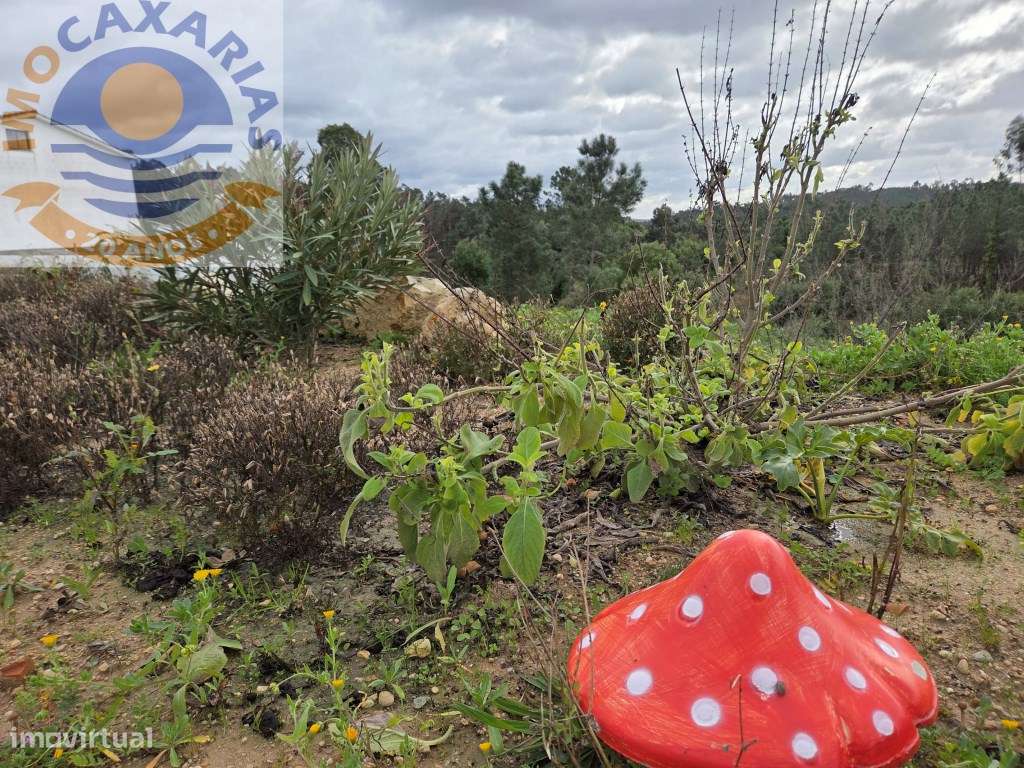 Magnífica moradia de rés do chão de tipologia T3-40