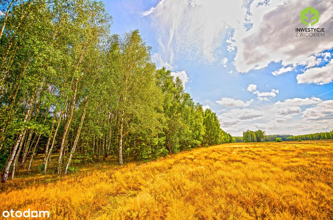 Ostatnie działki k/Warszawy w takiej cenie! - Pełny obrazek: 5/10