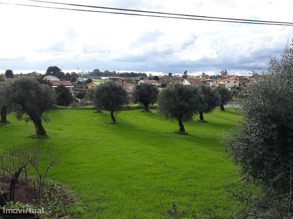 Azenha, Coimbra, São João do Campo - Grande imagem: 4/9