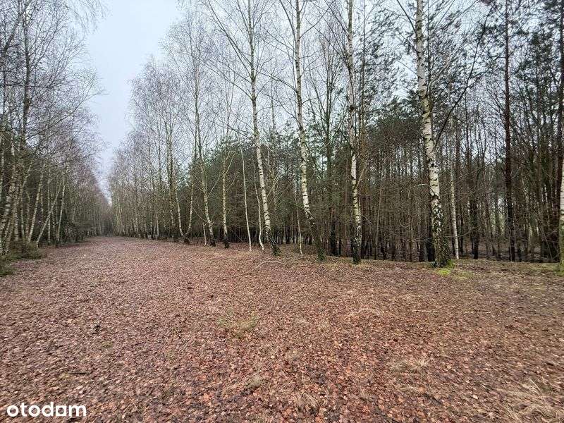 Atrakcyjna działka z warunkami zabudowy w spokojnej okolicy - Pełny obrazek: 4/11