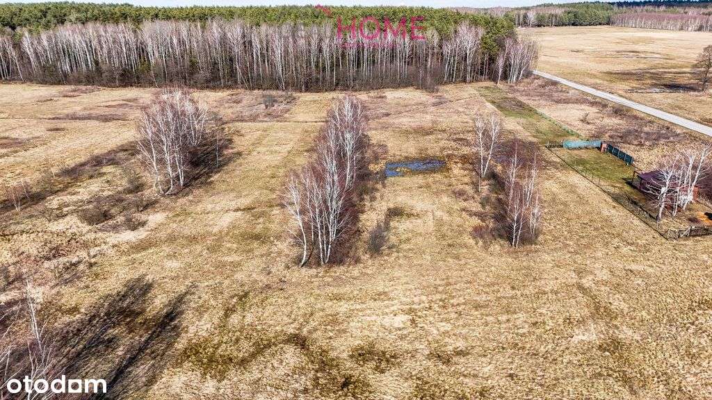 Działka 21 a - Mazury (gm. Raniżów)-7