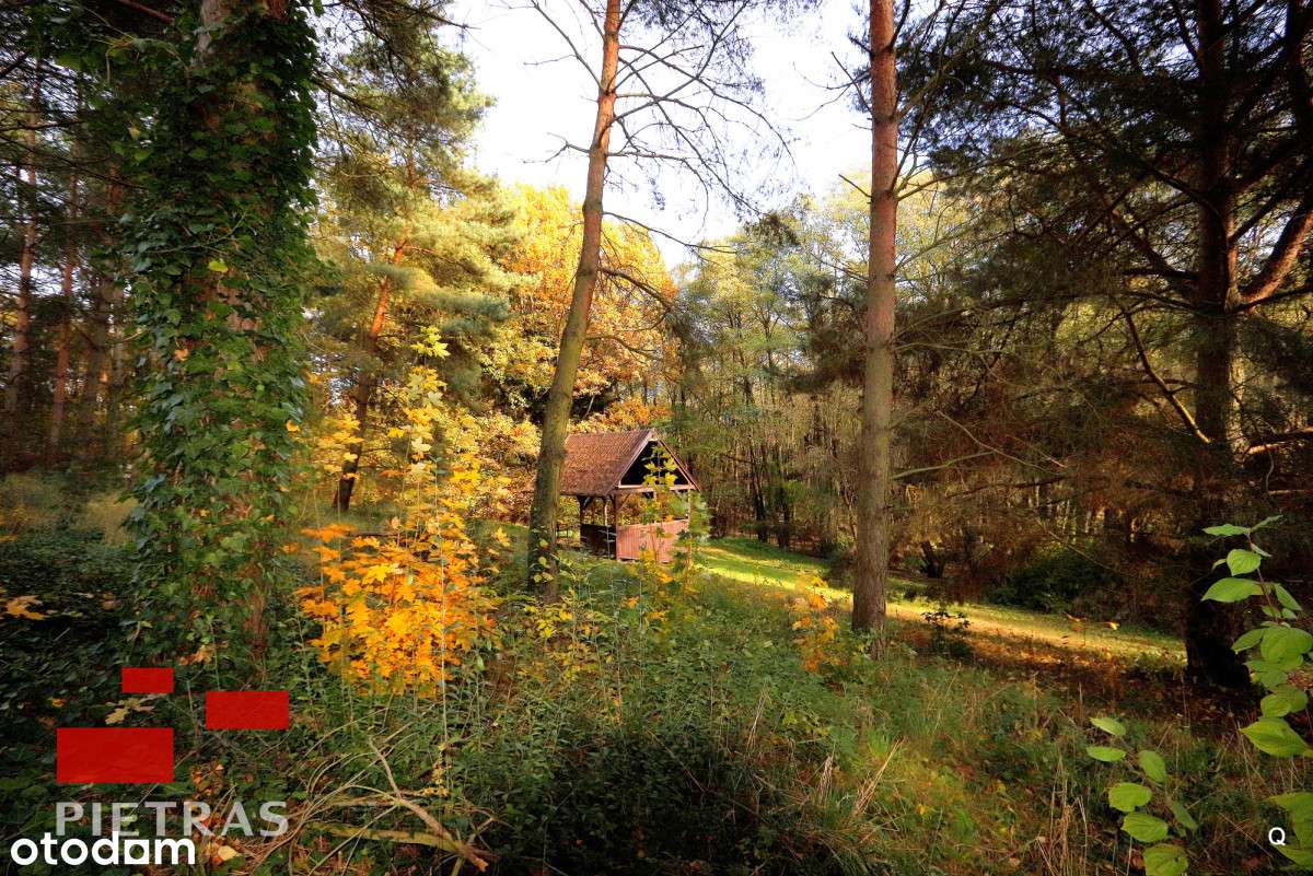 dla konesera / też inwest. Puszcza Zielonka-11