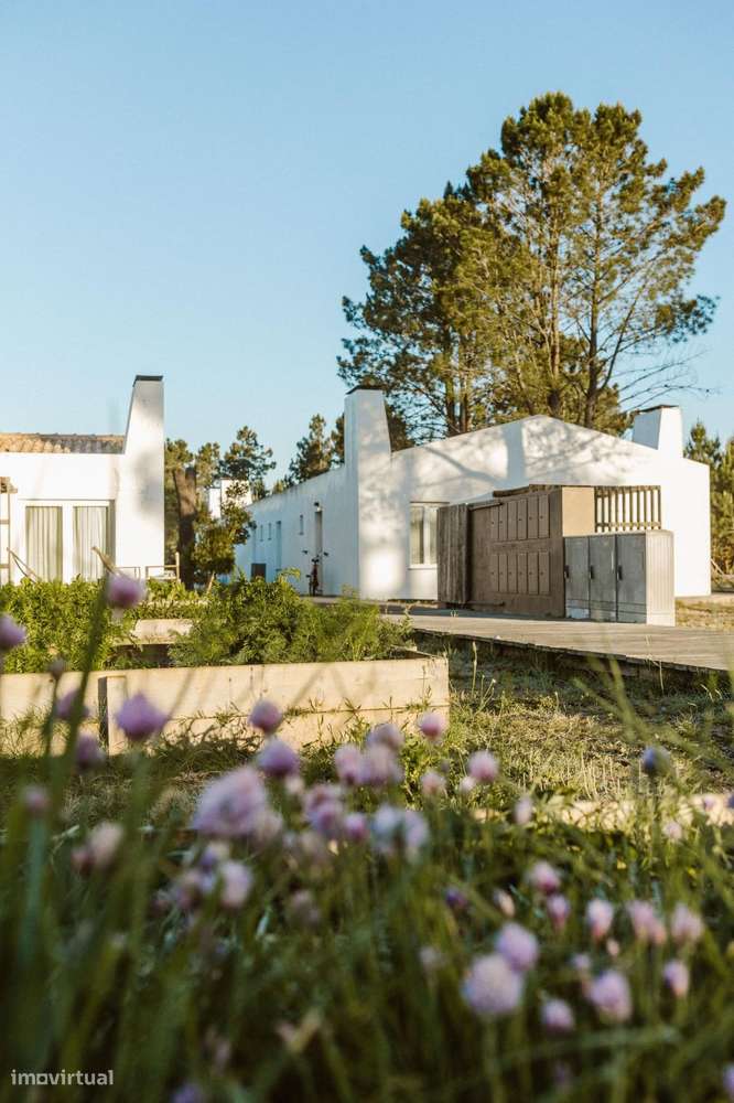 Apartamento T1 no Craveiral Farmhouse, São Teotónio, Odemira - Grande imagem: 4/87