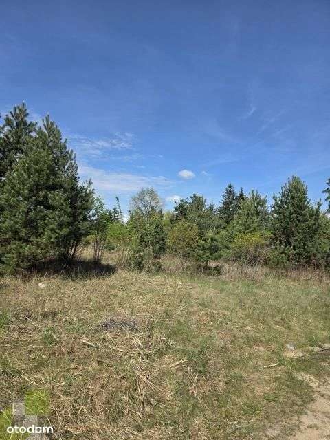 Zabudowa jednorodzinna, bliźniacza oraz usługowa - Pełny obrazek: 4/8