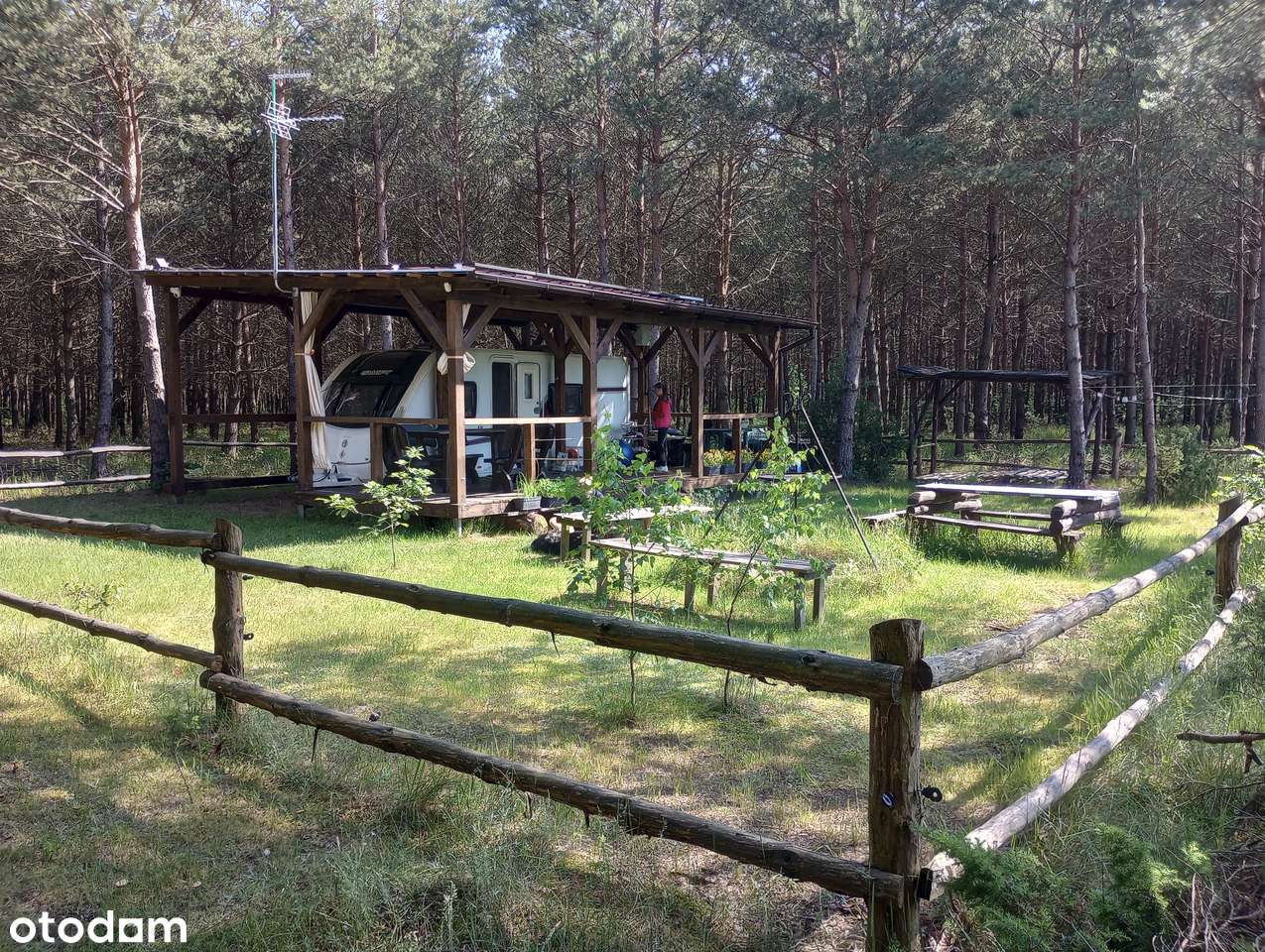 Sprzedam działkę 3000 m2 w kompleksie działek leśnych.