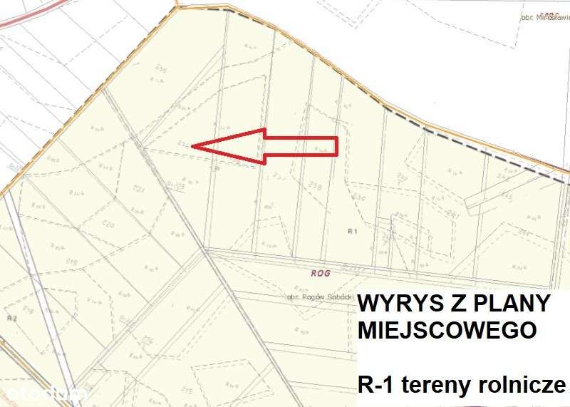 Działka rolna 3,16ha w Rogowie Sobóckim - trójkąt-2