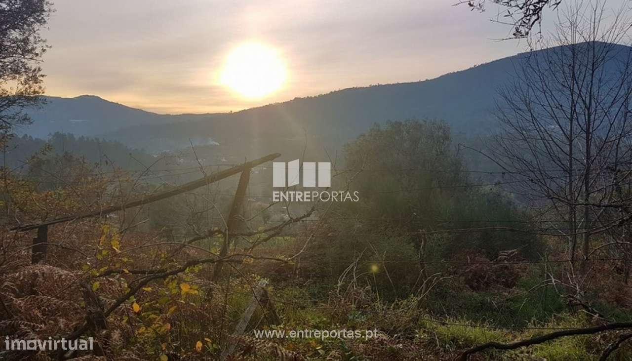 Venda de Terreno, Bárrio, Ponte de Lima - Grande imagem: 3/7
