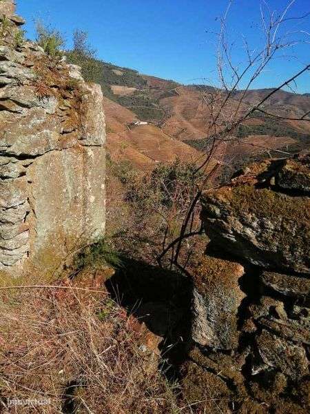 Quinta do Grilo - Alto Douro - Grande imagem: 5/9