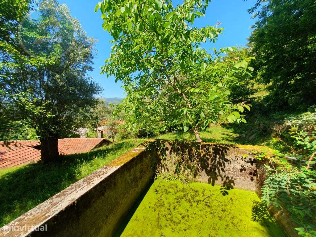 Quinta à venda para restauro em Arroteia freguesia de Rossas-40