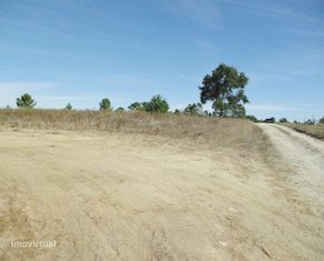 Terreno Rústico c/ 19.500 m² - Reserva Agrícola (Não pode construir) - Grande imagem: 2/7
