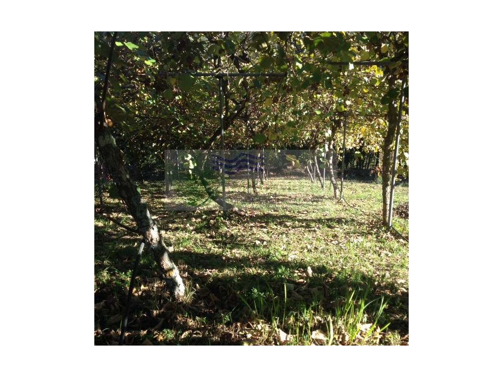 TERRENO PARA CONSTRUÇÃO SILVA ESCURA - Grande imagem: 4/15