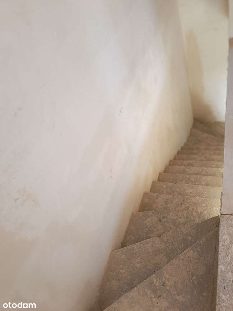 Błażejewko pod lasem, urządzony ogród, w.standard-19