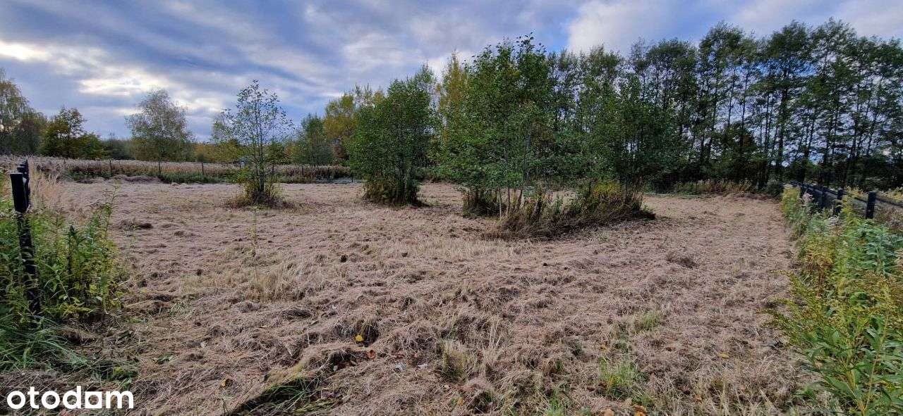 Sprzedam działkę 10,5ar z wydanym pozwoleniem na b - Pełny obrazek: 5/7