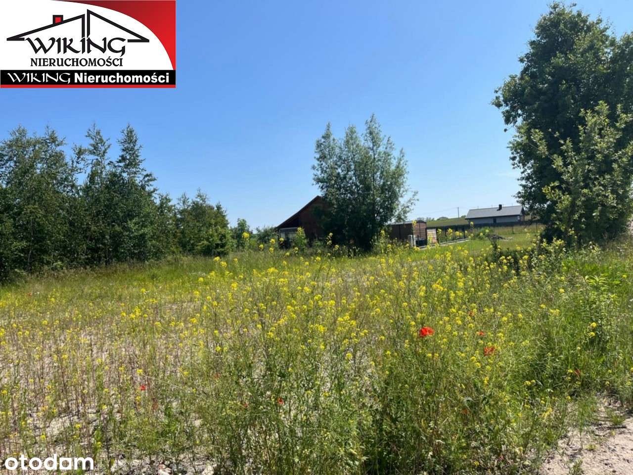 Działka Powidz nad jeziorem Niedzięgiel. - Pełny obrazek: 4/20