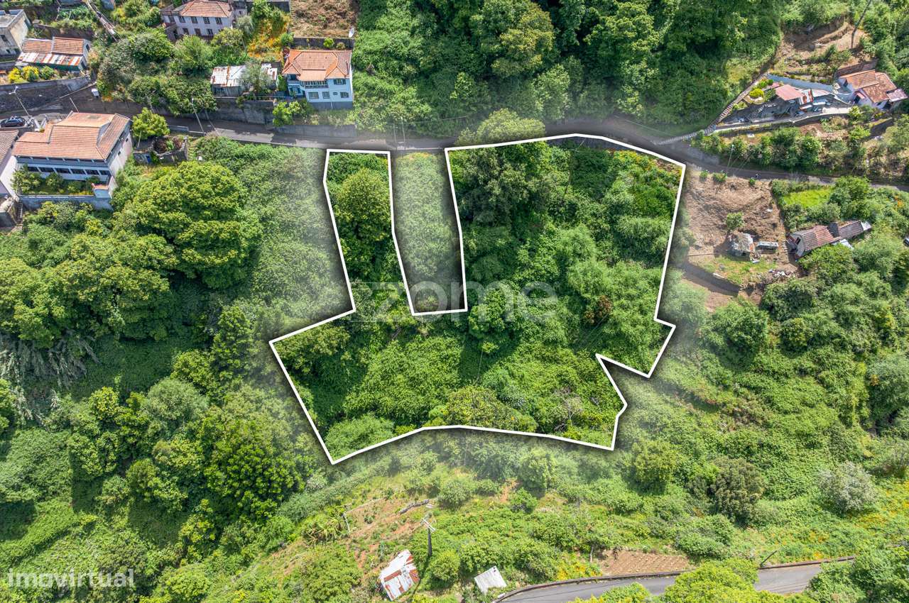 Terreno Rústico – Camacha, Ilha da Madeira - Grande imagem: 5/15