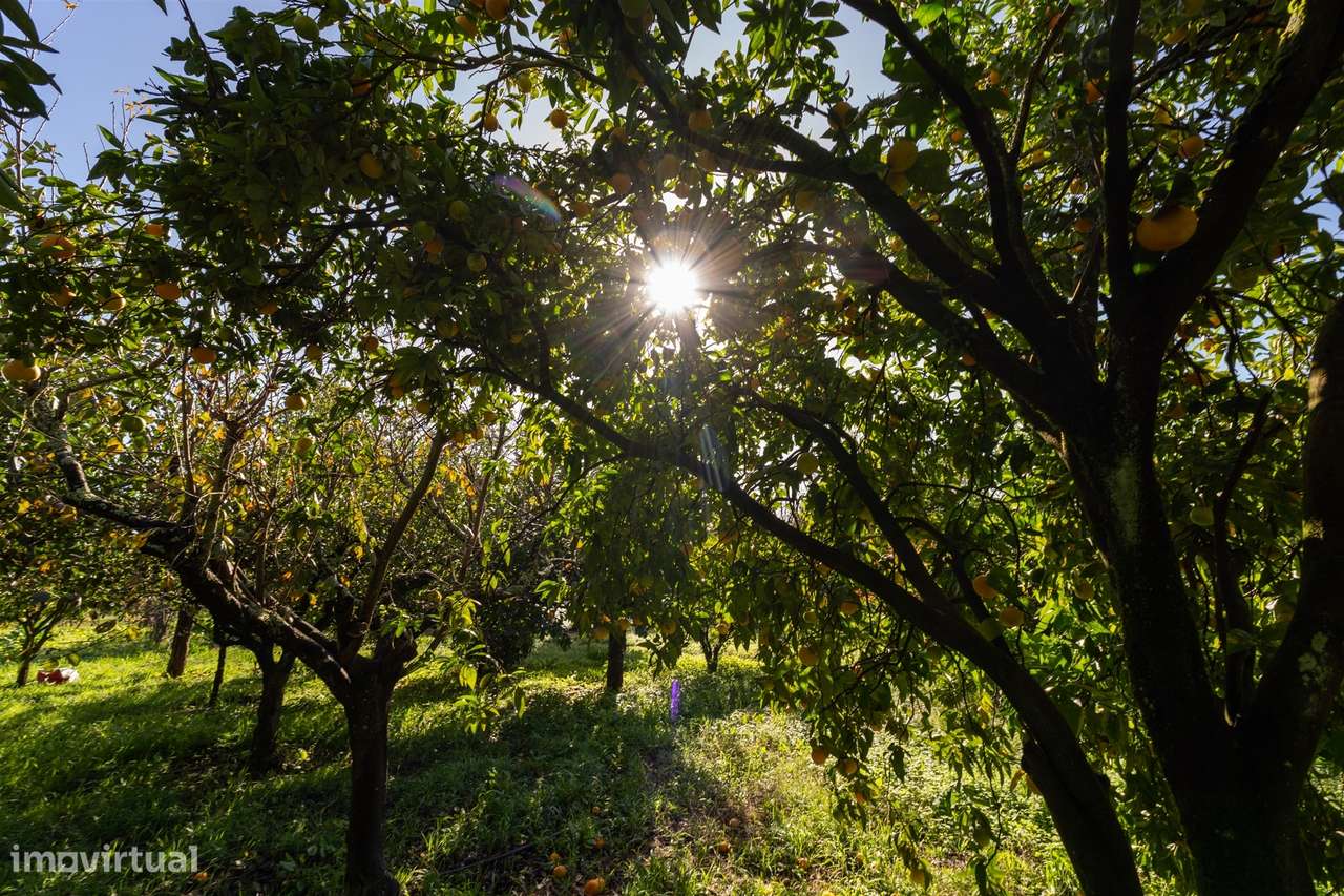 Moradia Isolada T2 Venda em Lobão, Gião, Louredo e Guisande,Santa Mari-35