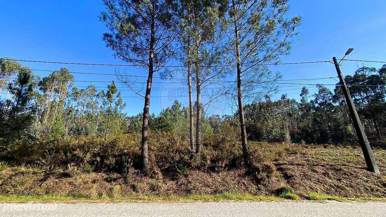 Terreno  para venda - Grande imagem: 4/11