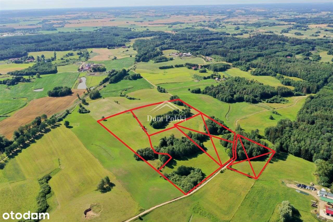 Ładne działki rolne - Olecko Małe - Pełny obrazek: 5/17
