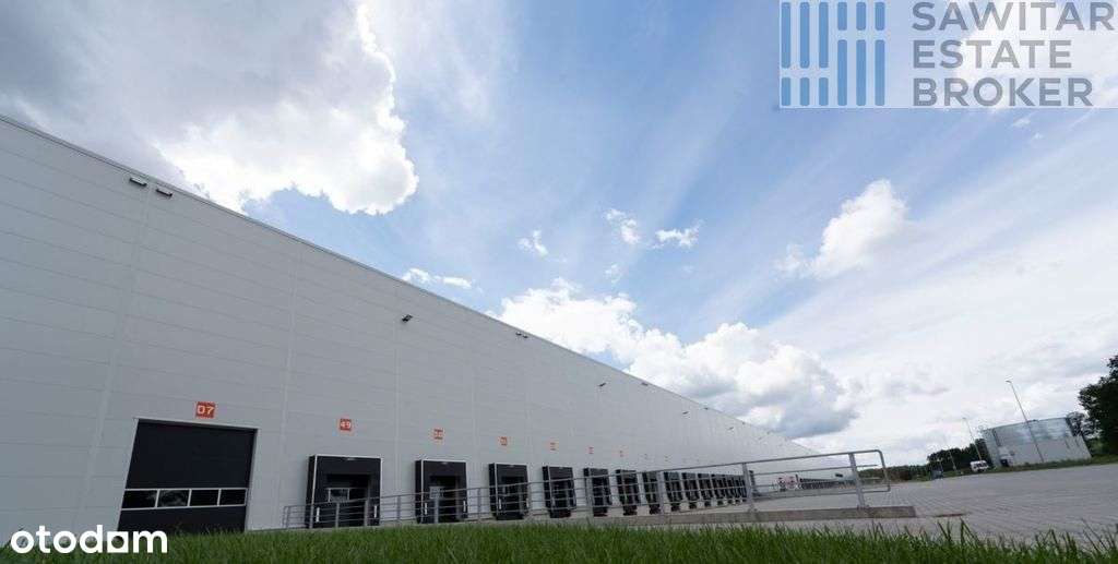 Hala magazynowy klasy A przy porcie - Pełny obrazek: 3/4